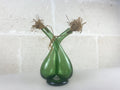 Double burette en verre émeraude soufflé bouche, Vetri di Empoli, style Mid-Century Modern